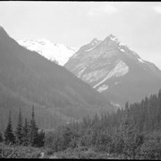 Cover image of 31. Rogers Pass & Glacier