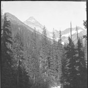 Cover image of 31. Rogers Pass & glacier, Mount Sir Donald, up