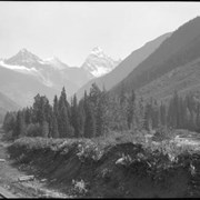 Cover image of Glacier, B.C., Sir Donald
