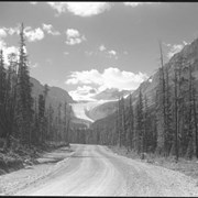 Cover image of Peyto Glacier from highway