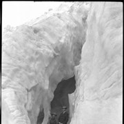 Cover image of [Bow Glacier]
