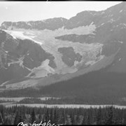 Cover image of Crowfoot Glacier