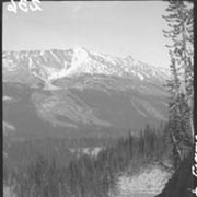 Cover image of Columbia Icefield trip