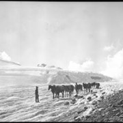Cover image of Columbia Icefield trip
