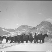 Cover image of Columbia Icefield trip