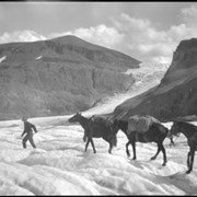 Cover image of [Columbia Icefield trip?]