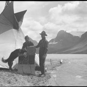 Cover image of Columbia Icefield, Bow Lake / Lewis Freeman