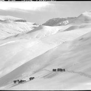 Cover image of Trip to Columbia Icefield, packtrain on the Poboktan