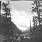 Cover image of Columbia Icefield trip, Mt. Columbia / Lewis Freeman