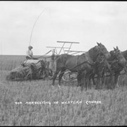 Cover image of 404. Harvesting in western Canada