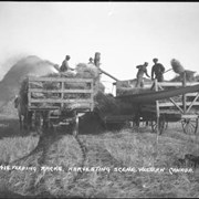 Cover image of 418. Feeding racks, threshing scene, western Canada