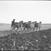 Cover image of Prairies  [file title]