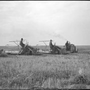 Cover image of Threshing