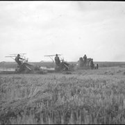 Cover image of Prairies, threshing