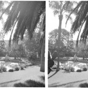 Cover image of Monaco trip, stereo