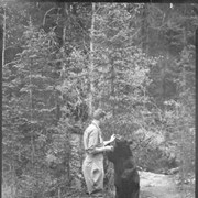 Cover image of Man feeding bear