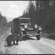 Cover image of Inspector Ryan & bear, Banff-Windermere Hwy