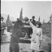 Cover image of E-24. Woman feeding bear, Elsie Brooks