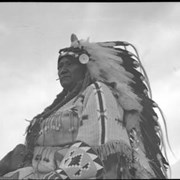 Cover image of Chief