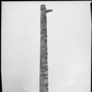 Cover image of Totem pole