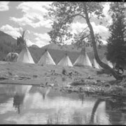 Cover image of Encampment