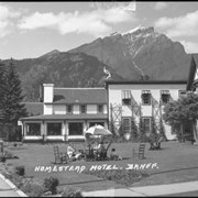 Cover image of Homestead Hotel