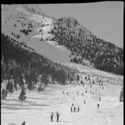 Cover image of Untitled : [Mount Norquay ski area]