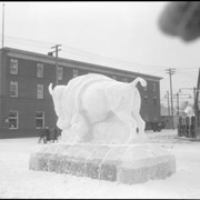 Cover image of Banff Winter Carnival, ice buffalo