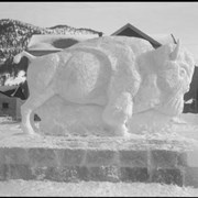 Cover image of Banff Winter Carnival, ice buffalo