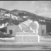 Cover image of Banff Winter Carnival, ice buffalo