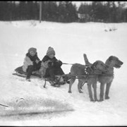 Cover image of Banff Winter Carnival, children on dog sleigh