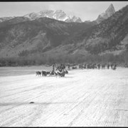 Cover image of Banff Winter Carnival, dogsled races