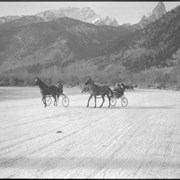 Cover image of Banff Winter Carnival, sulky races