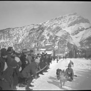 Cover image of Banff Winter Carnival, dog, toboggan race
