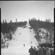 Cover image of Ski jumping at buffalo paddocks