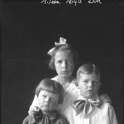 Cover image of Aileen, Don, Lloyd Harmon