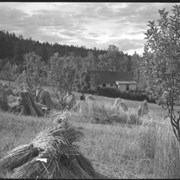 Cover image of Conrad Kain's farm, Wilmer, B.C.