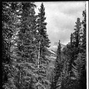 Cover image of Road to Upper Hot Springs & Mt. Rundle