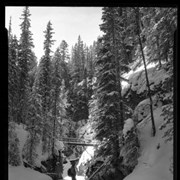 Cover image of Johnston Canyon, winter