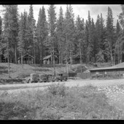 Cover image of Johnston Canyon, cabins & tearoom