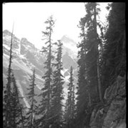 Cover image of 187. Glacier trail, Lake Louise