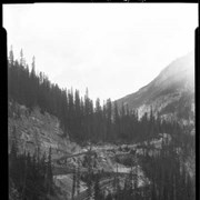 Cover image of Yoho Road, switchbacks