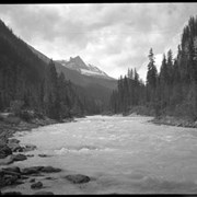 Cover image of Yoho Road (River)