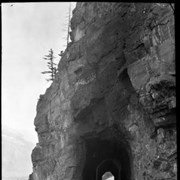 Cover image of 83. Tunnel on Field Hill