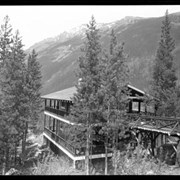 Cover image of Kicking Horse tea room