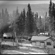 Cover image of Coldstream camp