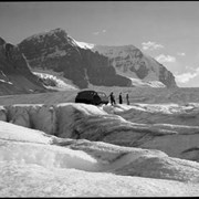 Cover image of Snowmobile on Columbia Icefield