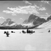 Cover image of Bow Lake, winter