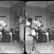 Cover image of Untitled : [women in drawing room]
