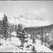 Cover image of Maligne to Louise, Yellowhead trip